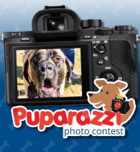 Puparazzi Photo Contest