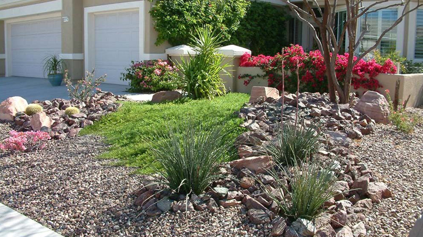 Front yard xeriscape in Chandler
