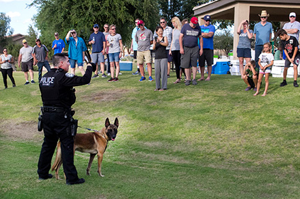 Chandler PD K-9 Unit demonstration at a GAIN event