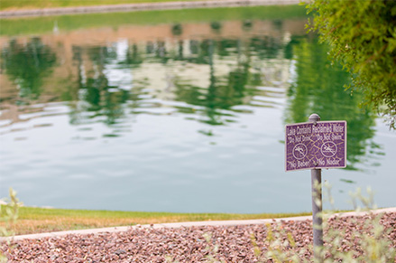 Look for the purple valve boxes, sprinkler heads and signs to know you're in an area