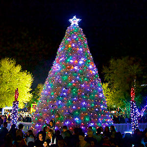 tumbleweed tree lighting