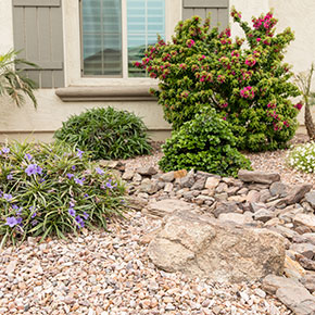 Grass to Xeriscape Design Ideas