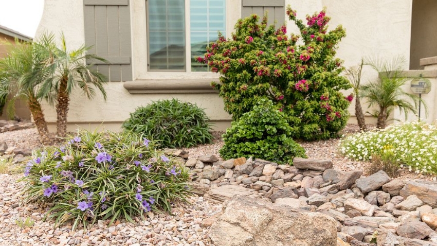 Landscape Pruning and Maintenance