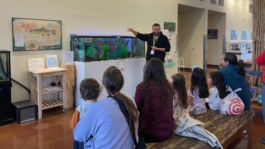 Trout Presentation