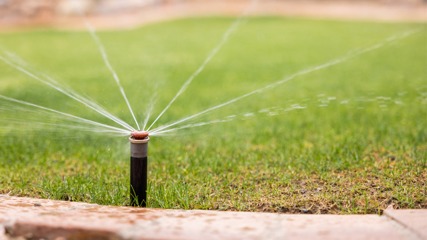 Sprinkler watering a lawn