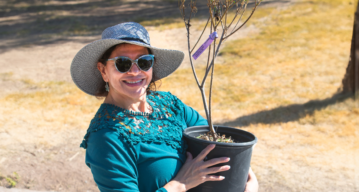 woman holding a tree ready to plant