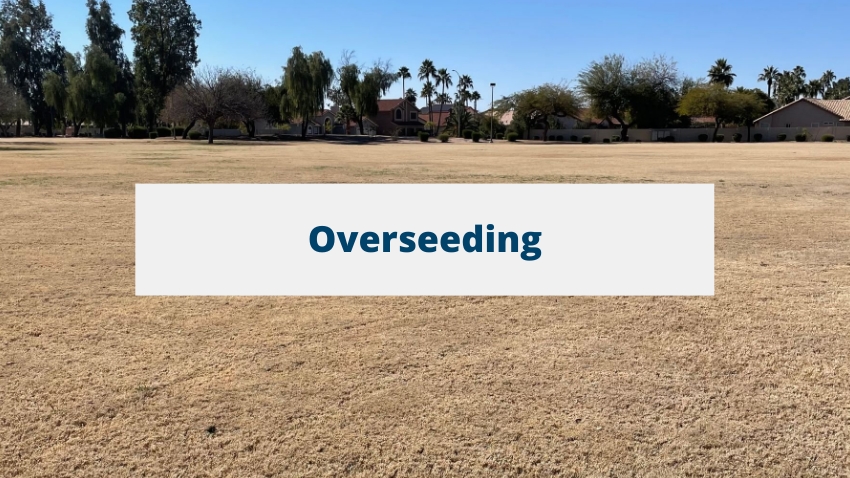 Overseeding