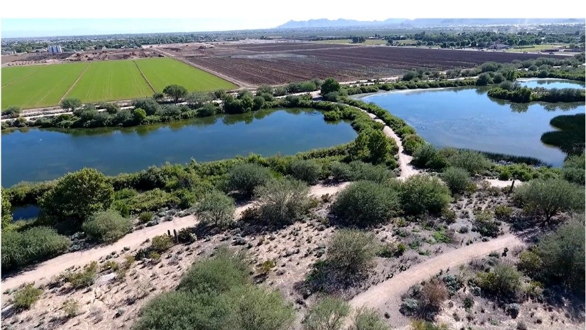 Veterans Oasis Recharge Basin