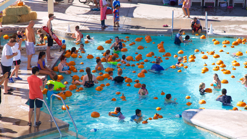 pumpkin float