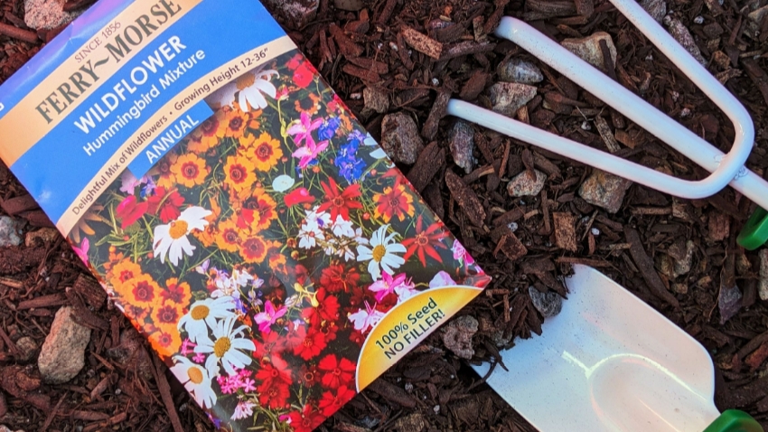 Packet of seeds with gardening tools