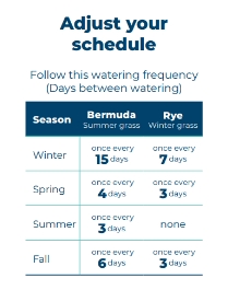 Guide to Watering Trees, Grass and Shrubs