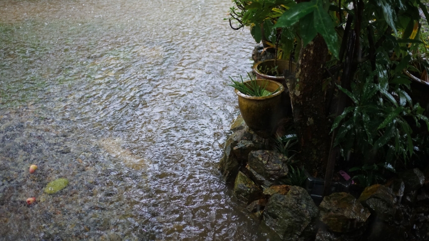 yard flooded with rainwater