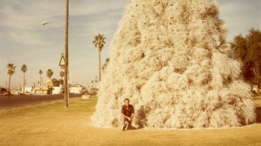 Vintage Tumbleweed Tree