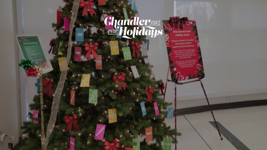 Chandler Public Library Community Cares Tree