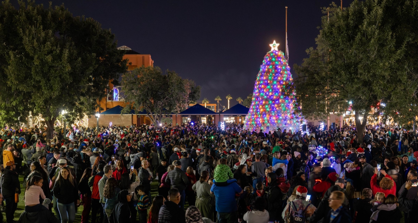 Tumbleweed Tree Lighting