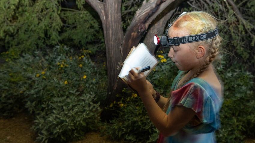 young girl writing during nature at night hike