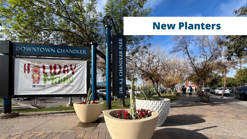 New Planters in Downtown Chandler