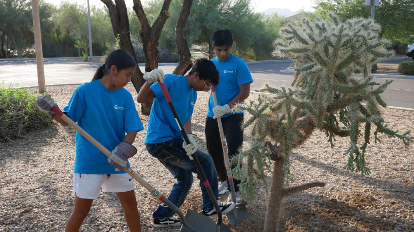 Teens doing nature work