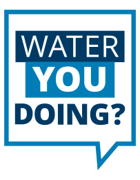 water you doing logo