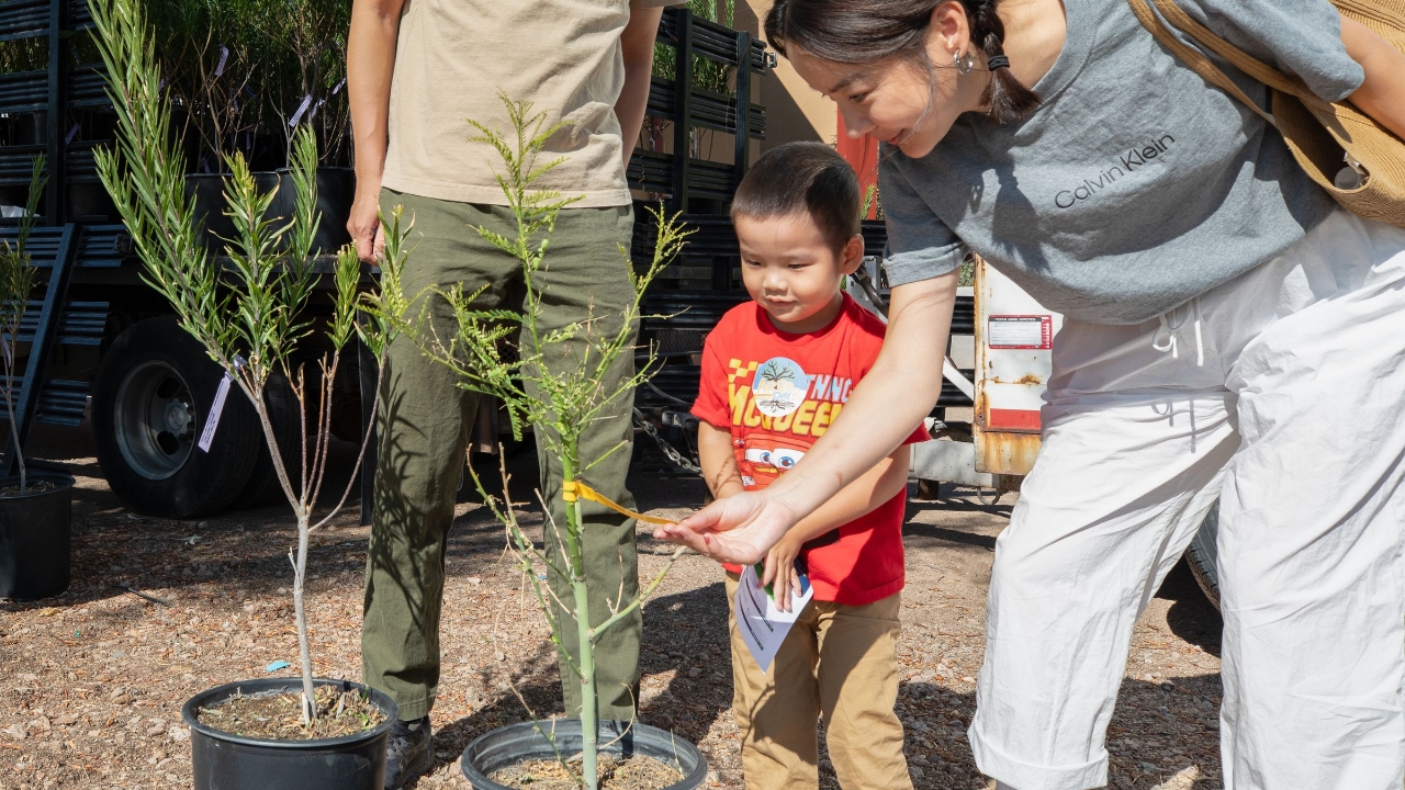 chandler arbor day family