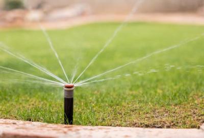 watering-lawn