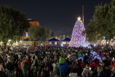 Tumbleweed Tree Lighting in Chandler