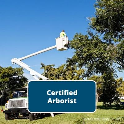 Certified Arborist Photo Credit Rudy Umans