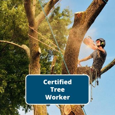 Certified Tree Worker