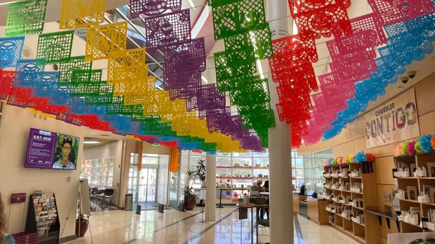 Downtown Library