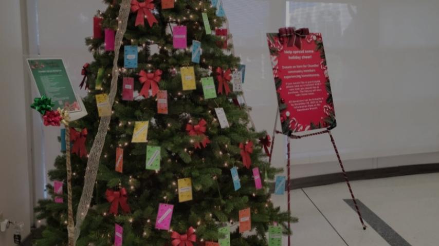 Community Cares Tree