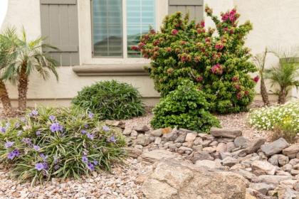 Landscape Pruning and Maintenance
