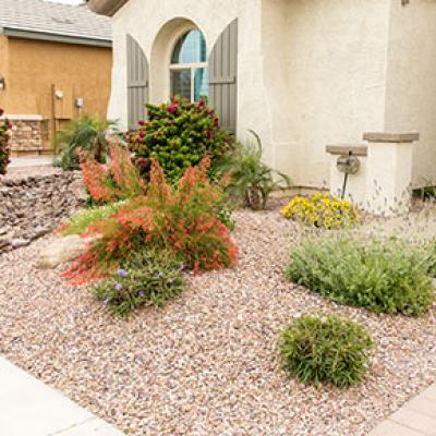 Xeriscape Landscaping