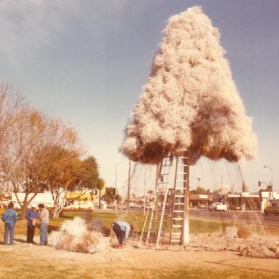 Tumbleweed Tree 1982