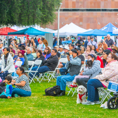 Multicultural Festival Crowd