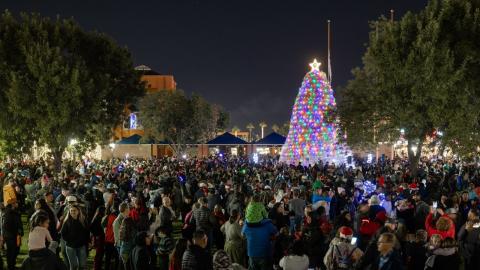 Tumbleweed Tree Lighting in Chandler