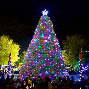 Christmas Events Gilbert 2022 Tumbleweed Tree Lighting Ceremony | City Of Chandler